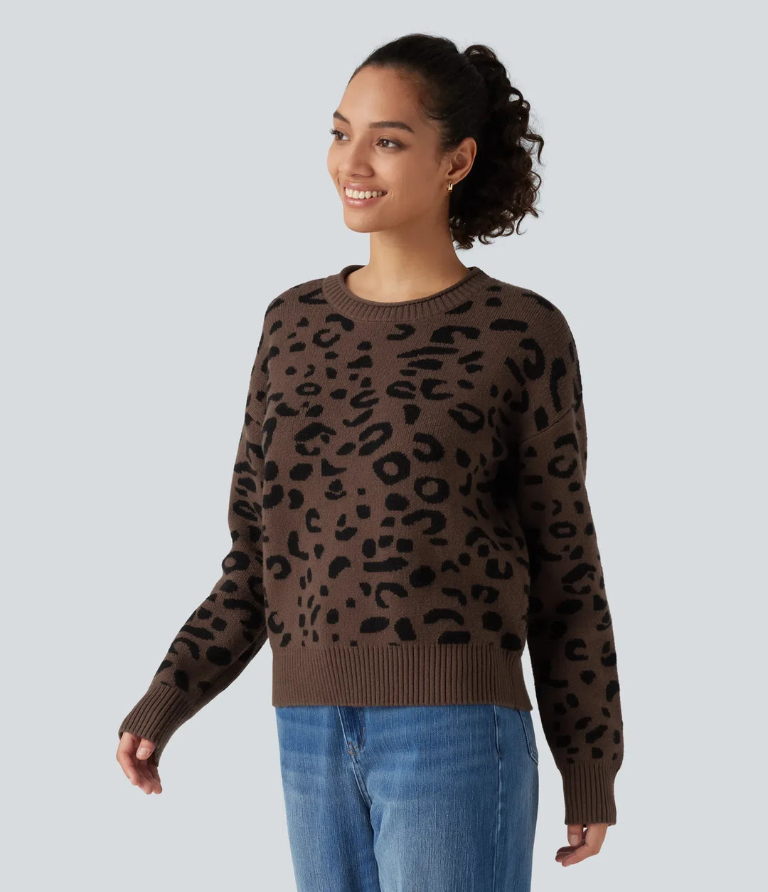 Round Neck Leopard Print Long Sleeve Casual Jumper