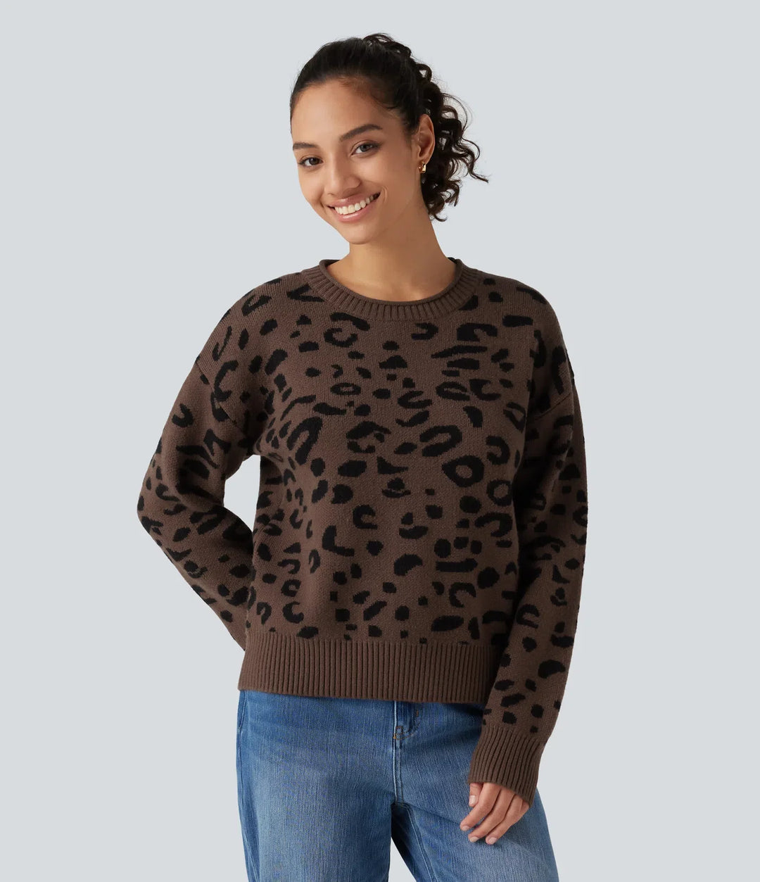 Round Neck Leopard Print Long Sleeve Casual Jumper