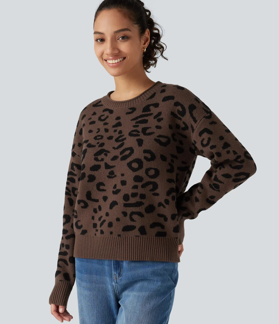 Round Neck Leopard Print Long Sleeve Casual Jumper